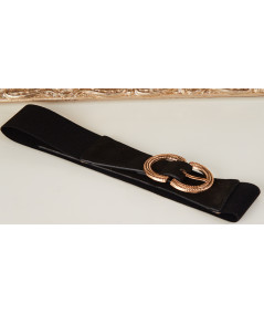 black belt gold buckle